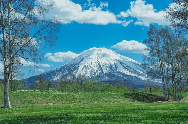 Asahigaoka Total Park