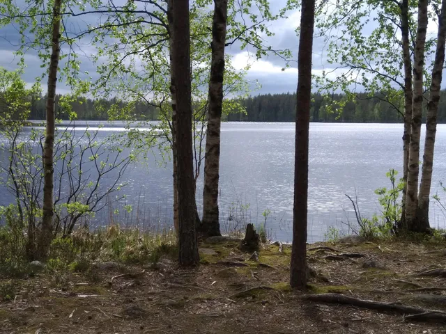 Tampinkierros Circle Trail