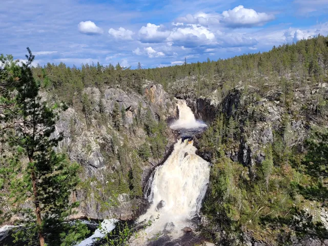 Muddus National Park