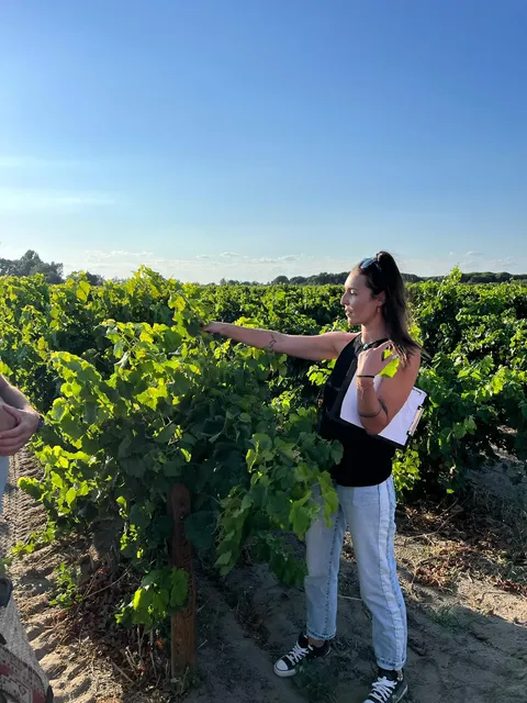 SUR LE CHEMIN DES SABLES Suivez Maud - Mas Saint Pierre