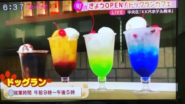 熊本城に一番近い ドッグラン＆カフェ