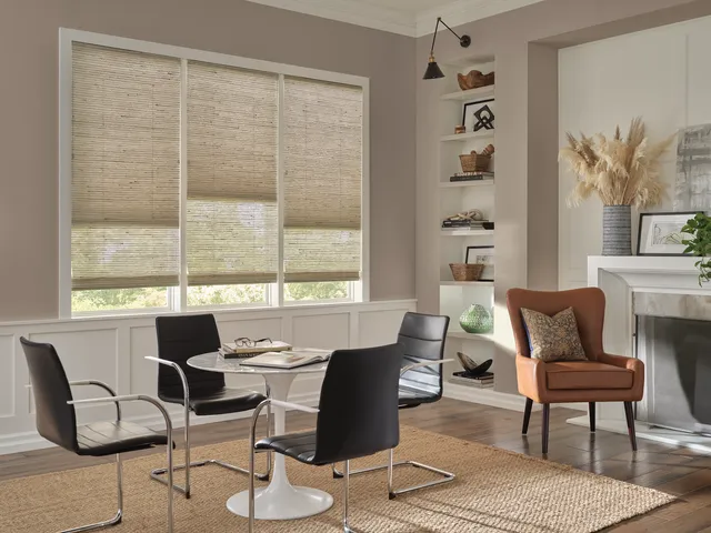 Designer Furniture Gallery - Hunter Douglas Window Treatments