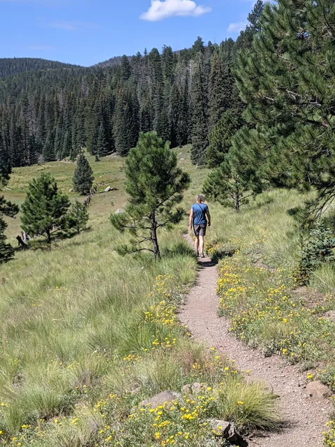 West Baldy Trailhead