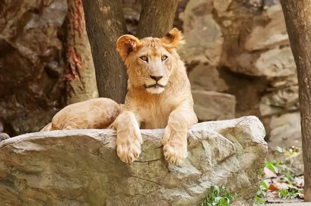 ZooWorld Zoological Park
