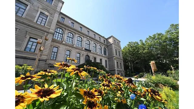 Musée d'Art et d'Industrie