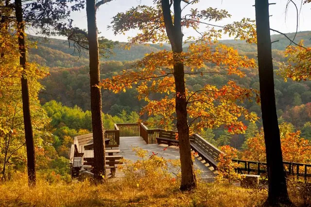 Green Ridge State Forest