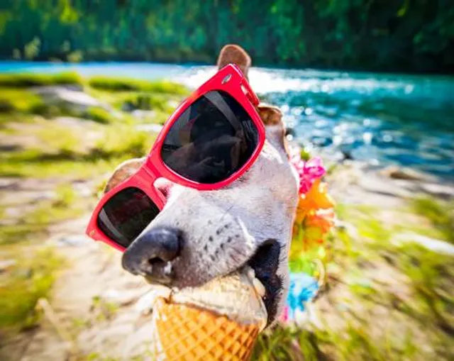 Picada Verão Ecological Reserve