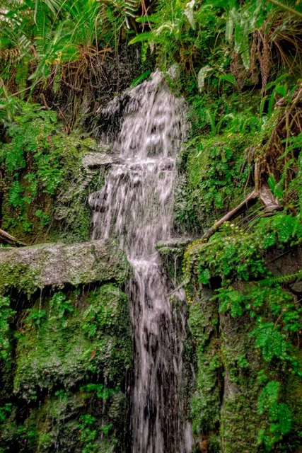 Botanical Garden Teplice