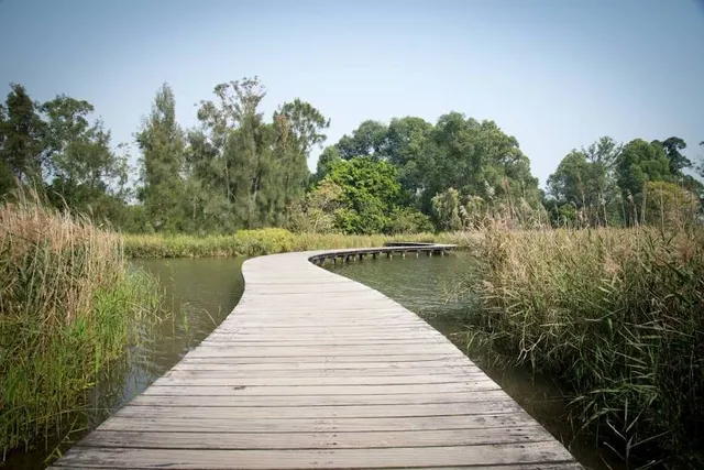 Hong Kong Wetland Park