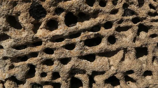 Monte Casoli di Bomarzo