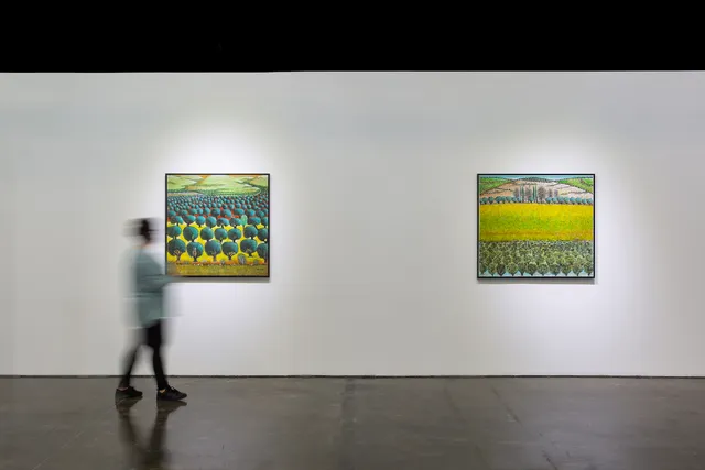 Zawyeh Gallery, Dubai