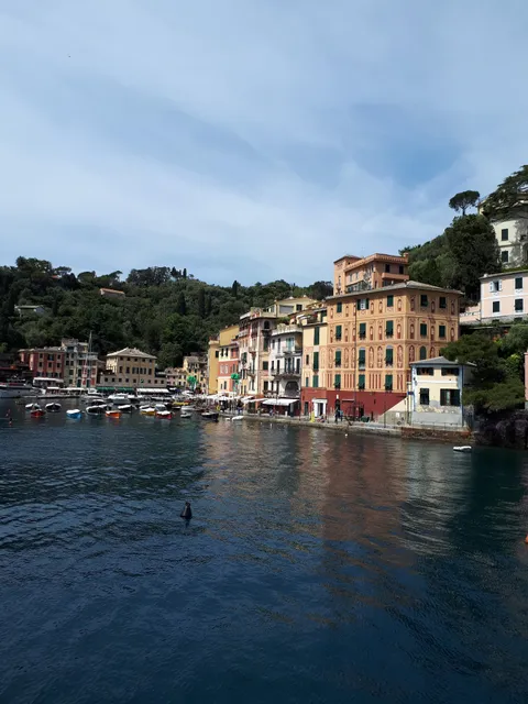 place image