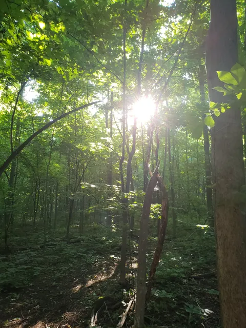 Reveler Conservation Area