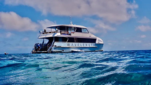 Wavelength Reef Cruises