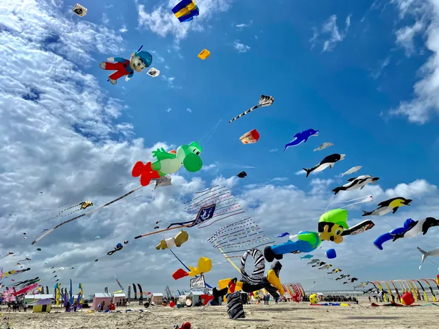 RICV (Rencontre Internationale de Cerf-Volants)