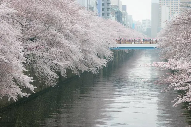 Meguro Citizen Center Park
