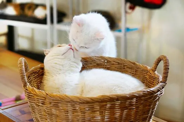 Maison des pays de Bresse