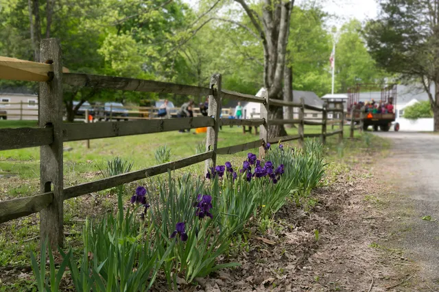 Whittemore - Community, Culture & Conservation