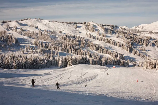Domaine Skiable et VTT Les Gets