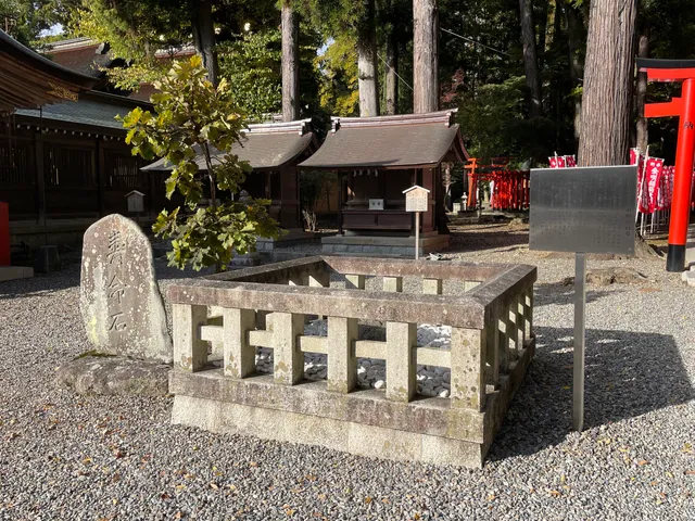 photo-3