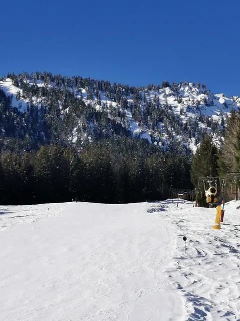 AktivArena am Kolben GmbH & Co. KG