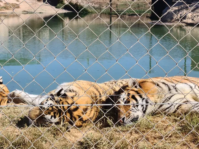 Jes Park (Restaurant, Wildlife Park & Wedding Venue)