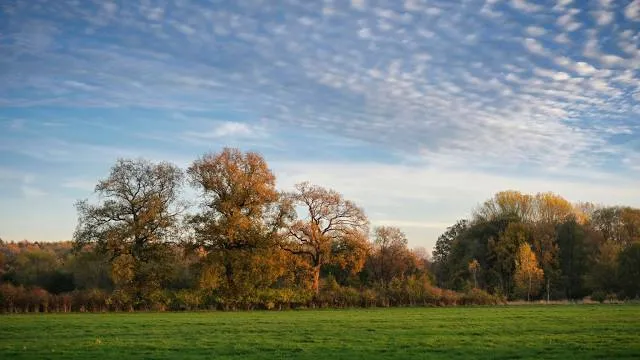 Eidelstedter Feldmark