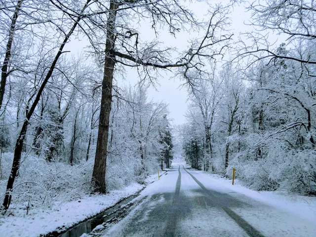 State Game Lands Number 243