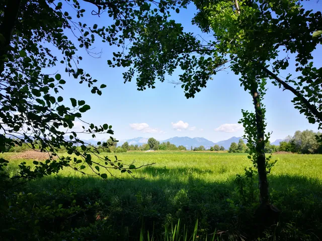 Oasi naturalistica di Villaverla
