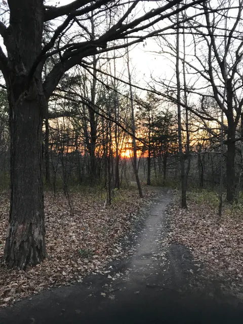 Monarch Singletrack Trailhead