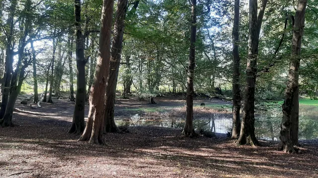 پارک جنگلی اشبلا