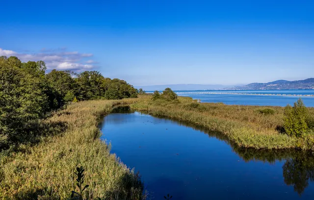 Réserve naturelle des Grangettes