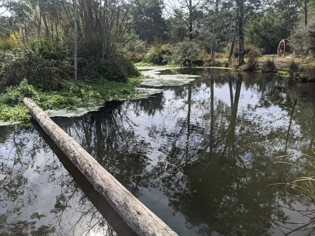 41° South Tasmania and Georgie's Cafe