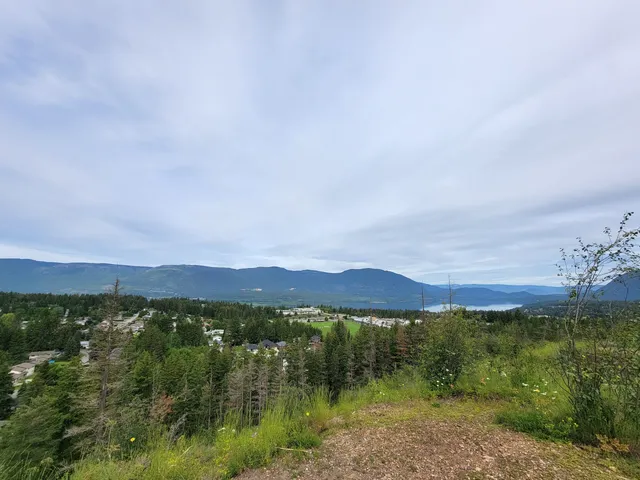 Little Mountain Park