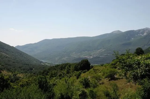 Visitor Center Daini