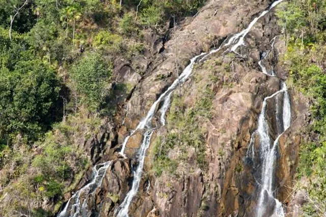 Tiger Creek Animal Sanctuary