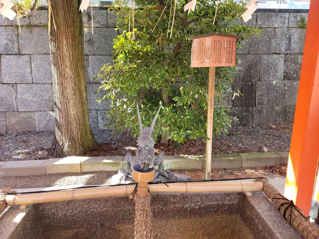 photo-3