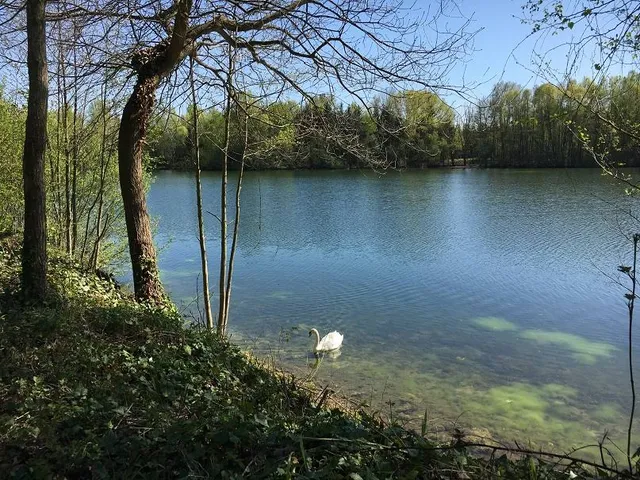 Étang de Toutevoie
