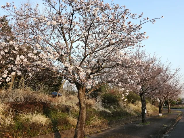 Yoteikawafureai Park