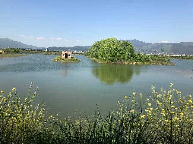 Area naturale protetta Stagni di Focognano
