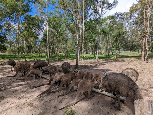 Fraser Coast Wildlife Sanctuary