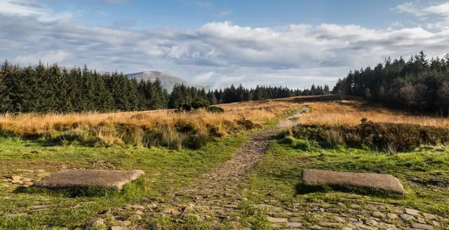 Beacon Fell Country Park