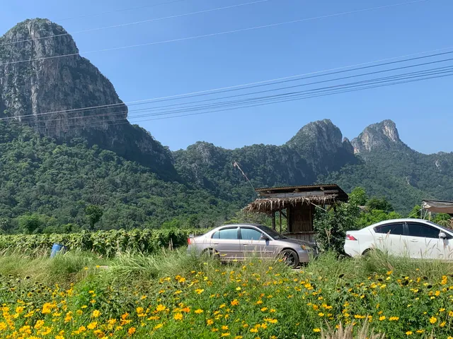 ไร่จำรัส เฟส 2