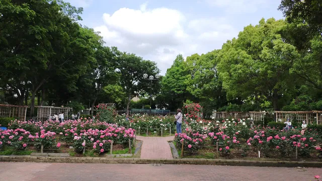 Oido Park