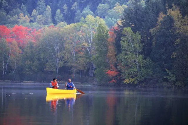 Oxtongue Lake