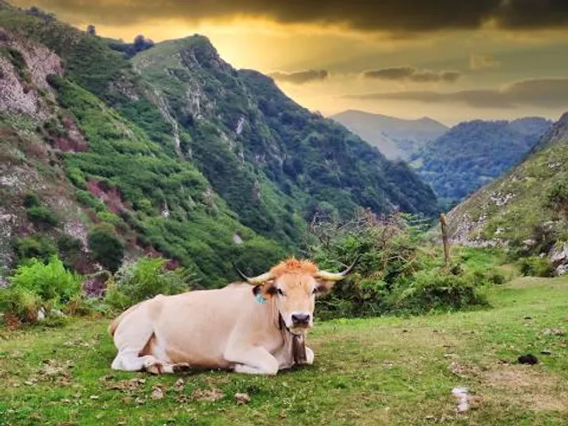 Ruta De Las Foces Del Rio Pendón