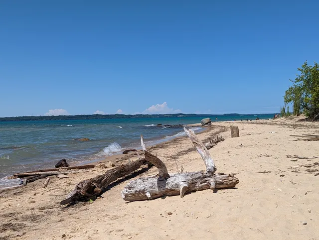 Maple Bay Natural Area