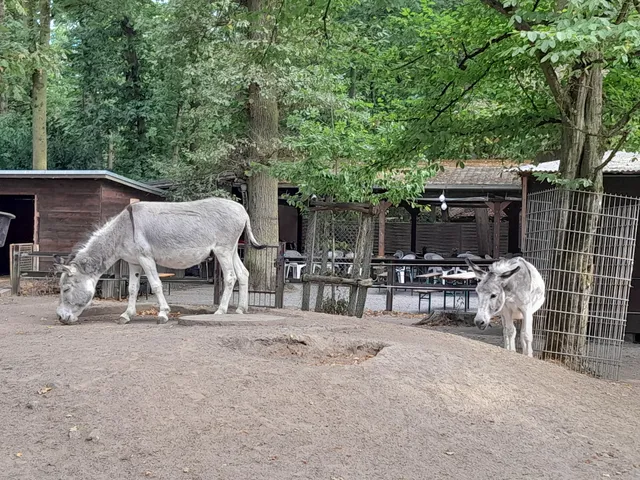 Kobelt Zoo, Gesellschaft Prof. Dr. W. Kobelt e. V.