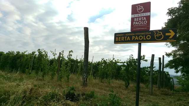 Azienda Vitivinicola Berta Paolo