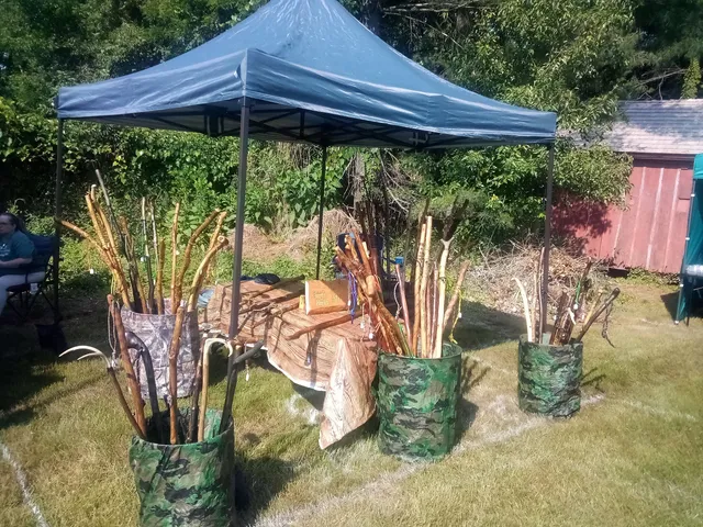 The Benson-Hammond House